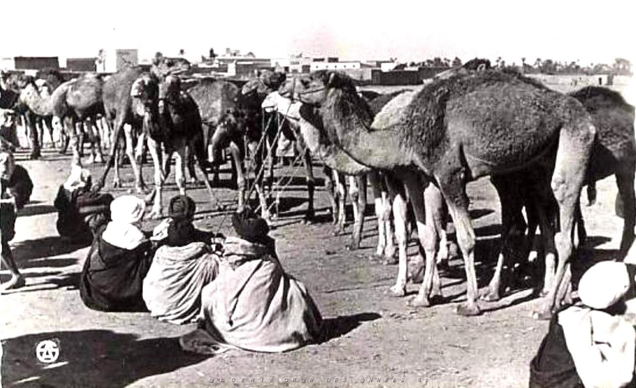 Images d'Algerie 135.jpg